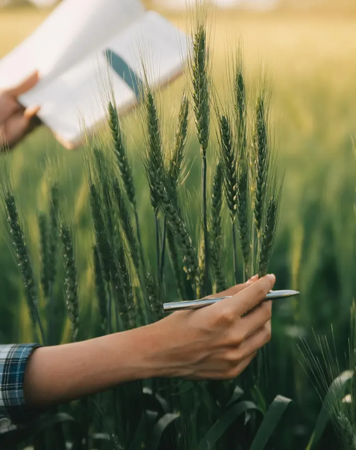 Agricultural